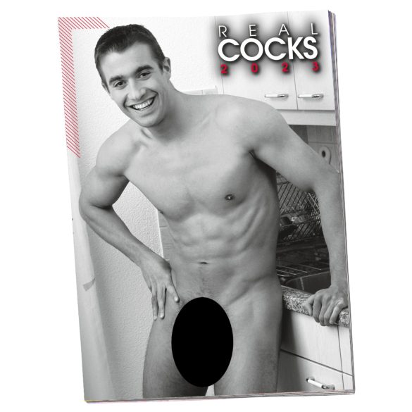 Meztelen férfi naptár - 2026