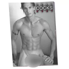 Real Cocks 2027 - erotikus falinaptár (1 db)