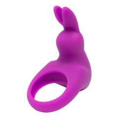   Happyrabbit Cock Kit - vibrációs péniszgyűrű tárolótáskával (lila)