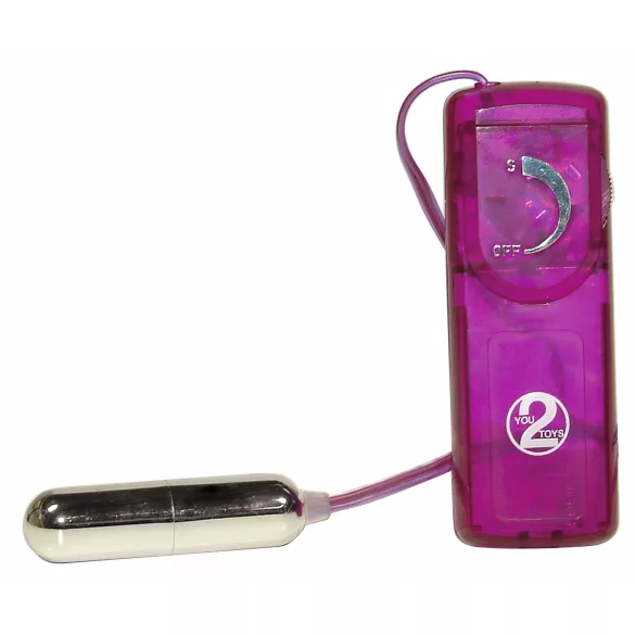 You2Toys - erotikus meglepetések - vibrátor szett (12 részes)