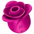 Satisfyer Pro 2 Modern Blossom - léghullámos csiklóizgató (pink)