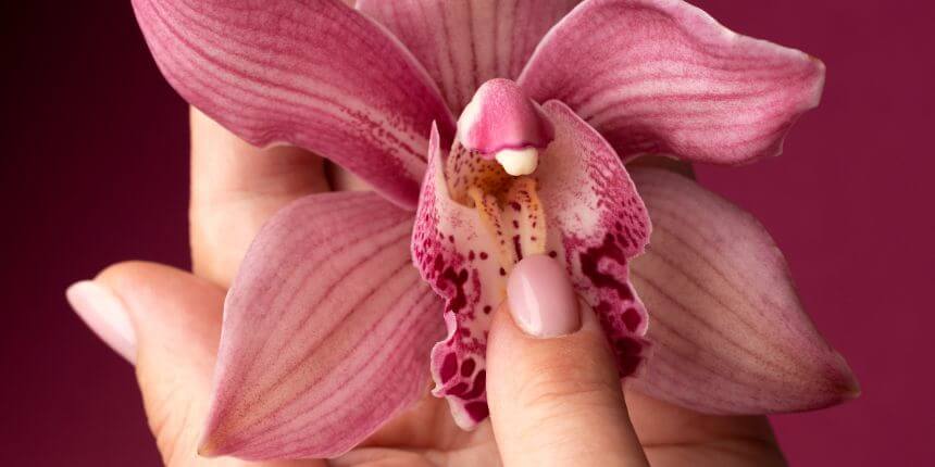 Női G-pont elhelyezkedése - Szexshop.hu